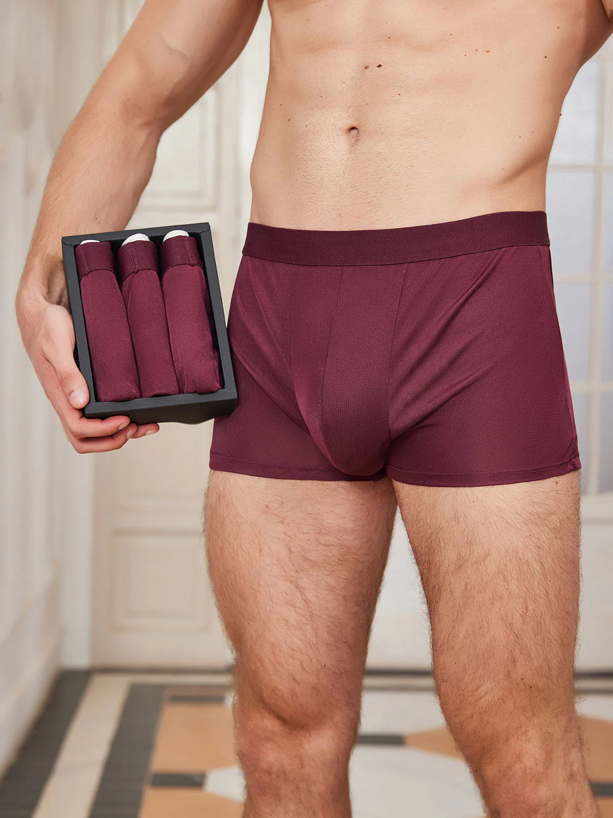 Lot de 3 Boxers Homme en Soie Pure - Image 10