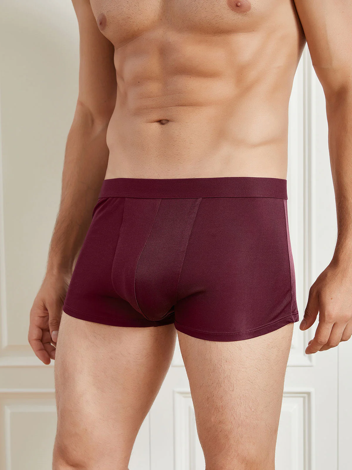Lot de 3 Boxers Homme en Soie Pure - Image 12