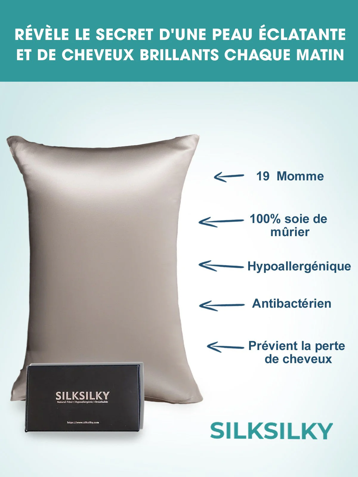 Taie d’Oreiller Simple Enveloppée En Soie 19Momme - Image 60