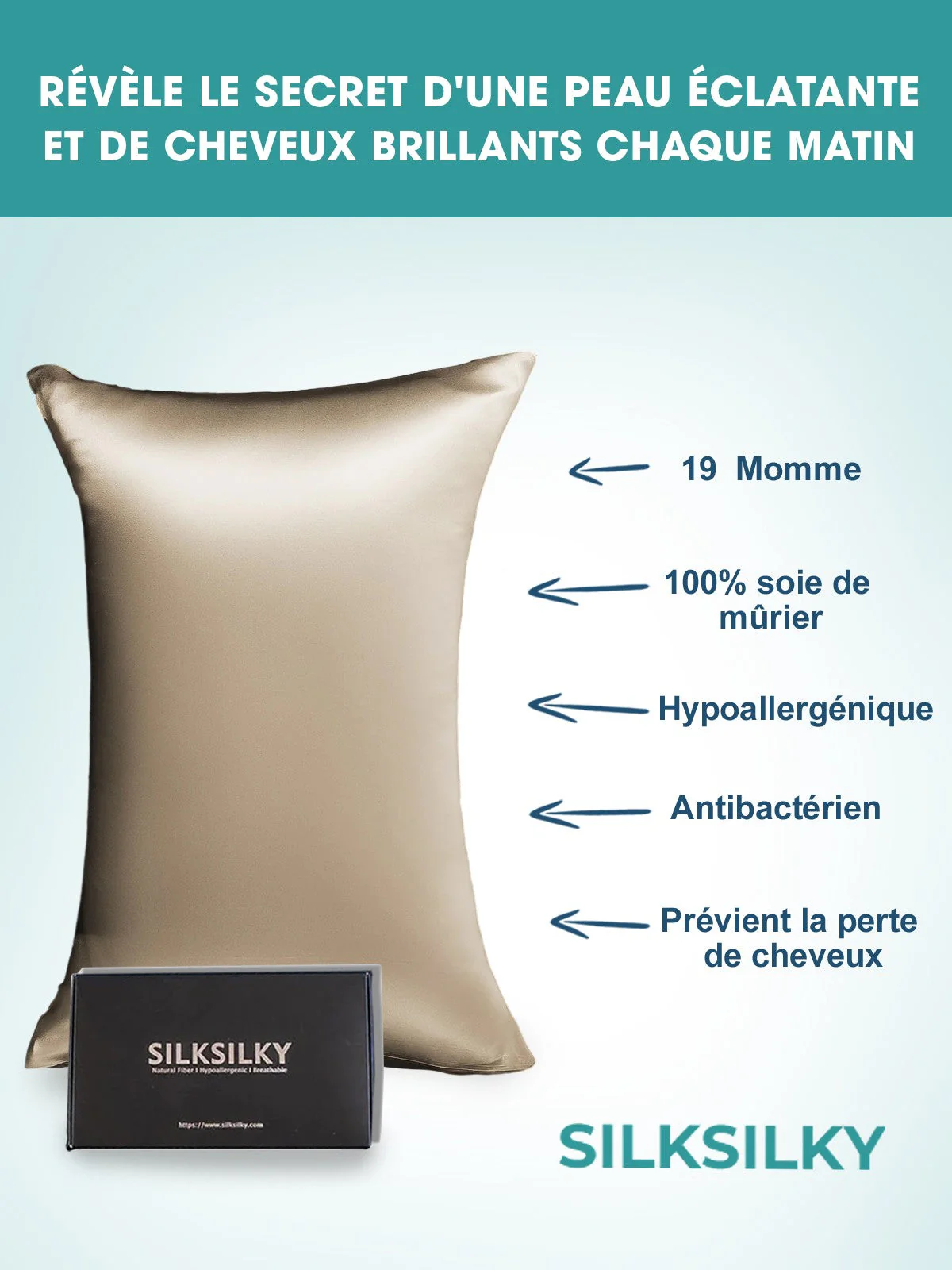 Taie d’Oreiller Simple Enveloppée En Soie 19Momme - Image 68